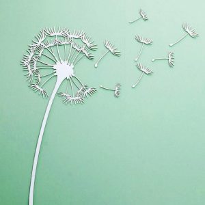Pusteblume