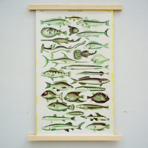 Siebdruck Ichthyology