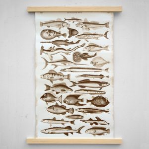 Siebdruck Ichthyology