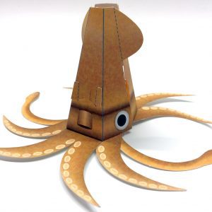 Surprise Squid Tintenfisch