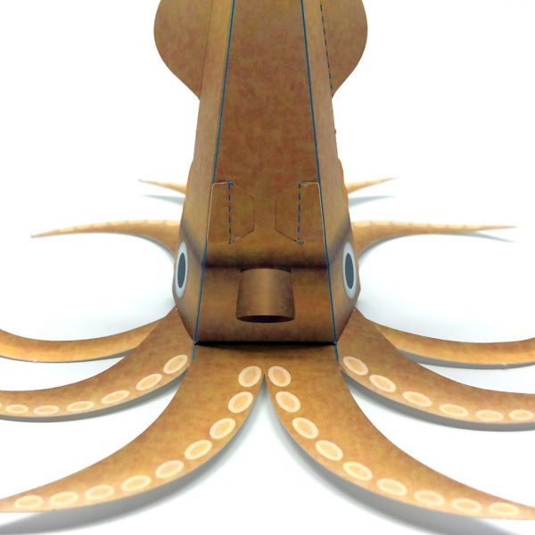 Surprise Squid Tintenfisch