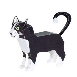 Pukaca Katze