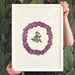 Hortensie I
