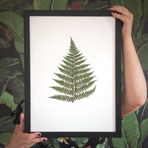 Farn Herbarium