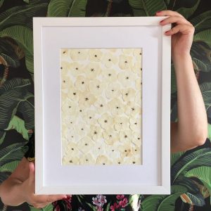 Hortensie Herbarium