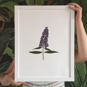 Wiesenblume