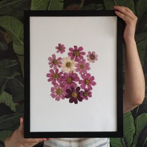 Cosmos Herbarium