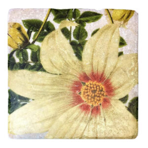 Marmoruntersetzer Blume weiß