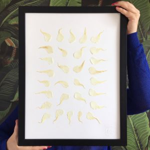 Oleander Herbarium