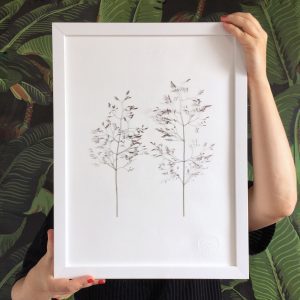 Wiese Herbarium