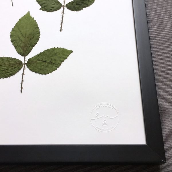 Rose Herbarium