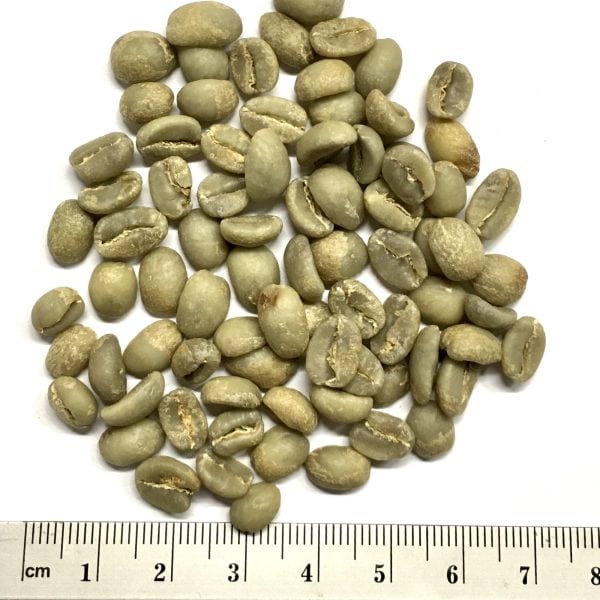 Äthiopien Gera Djimma Specialty Rohkaffee – Bild 3