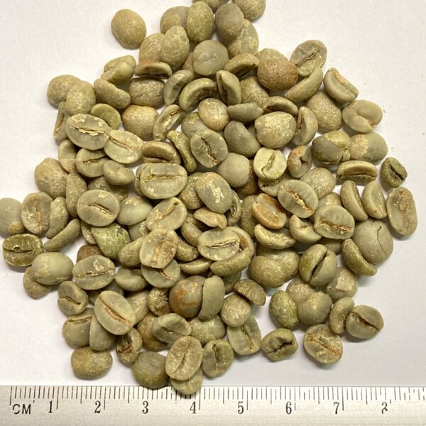 Rohkaffee Brasilien Cemorrado Sweet Edition