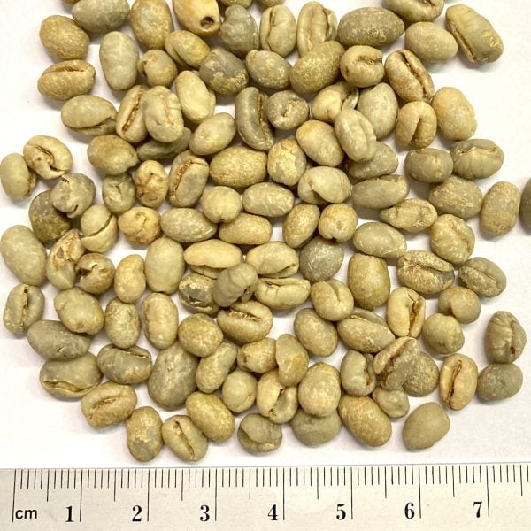Rohkaffee Peaberry