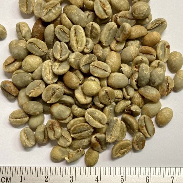 Yirgacheffe Idido - Tefanesh Zeleke natural Grade 1