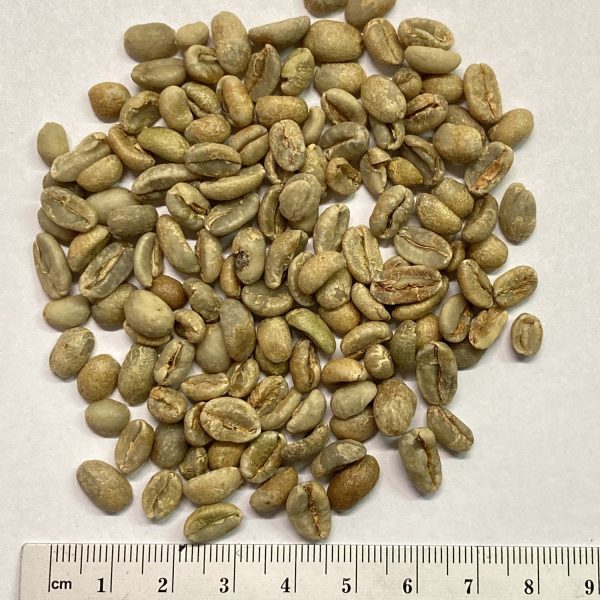 Guji Anasora Rohkaffee Rohkaffee Äthiopien