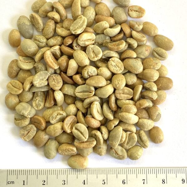 Rohkaffee Honduras Natural Bio Organic
