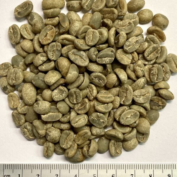 Mexico Chiapas Rohkaffee