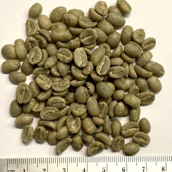 Yirgacheffe Rohkaffee
