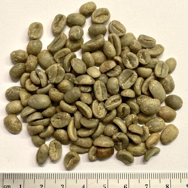 Guatemala Rohkaffee Bohnen