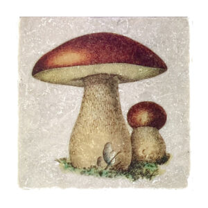 Marmor Untersetzer Pilz 1