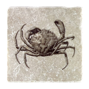 Marmoruntersetzer Seafood 1