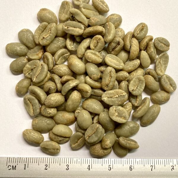 Rohkaffee Colombia Honey Excelso Huila Pink Bourbon