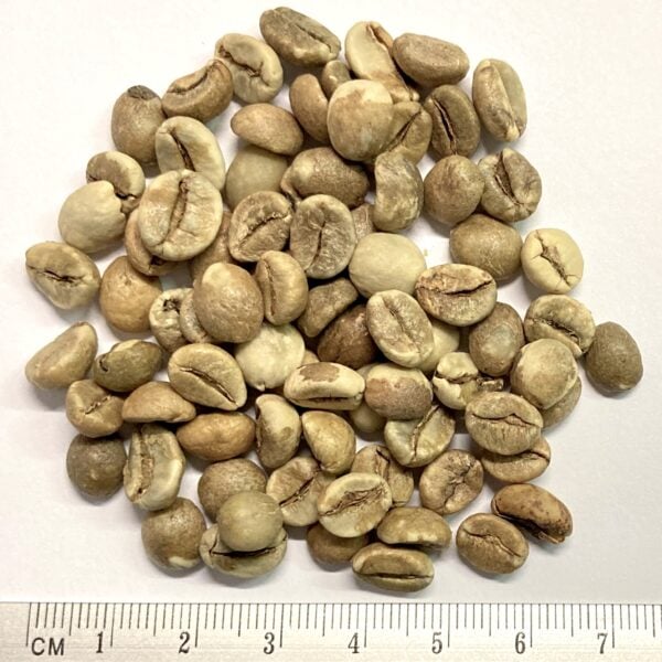 Uganda Robusta Specialty Rohkaffee