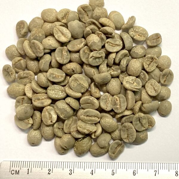 Brasilien Cemorrado Chocolate Rohkaffee